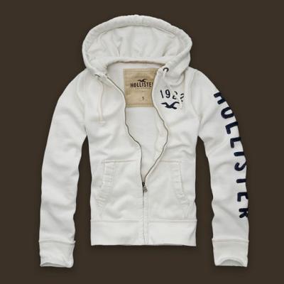 Hollister Men Hoodies-77